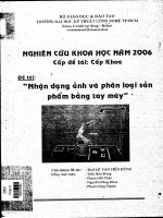 Nhận dạng ảnh và phân loại sản phẩm bằng tay máy 