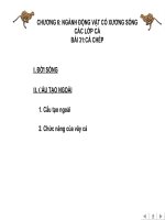 bài 31 cá chép  sinh học 7  phạm đức toàn  website của trường thcs tà long