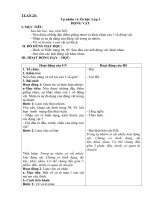 tuần 25  tự nhiên và xã hội  phạm thanh toàn  phòng giáo dục và đào tạo trần văn thời bkav