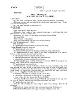 giao an lop 4  toán học  hoàng duy  trang tư liệu giáo dục thành phố hà tĩnh