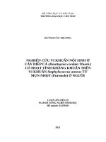 luận án tiến sĩ nghiên cứu vi khuẩn nội sinh ở cây diếp cá có hoạt tính kháng khuẩn trên vi khuẩn staphylococcus aureus từ mụn nhọt ở người 