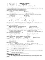 đề kt hki vl7  vật lý 7  võ thạch sơn  thư viện giáo dục tỉnh quảng trị