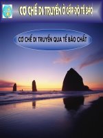 ditruyentebaochat  sinh học 12  nguyễn văn tuấn  thư viện tài nguyên dạy học tỉnh thanh hóa