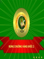 rung chuông vàng  toán học  nguyễn thị kim ngân  trang tư liệu giáo dục thành phố hà tĩnh