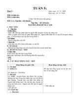 tuần 5  tiếng việt  hồ thị huế  thư viện giáo dục tỉnh quảng trị