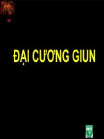 ĐẠI CƯƠNG GIUN (ký SINH TRÙNG) (chữ biến dạng do slide dùng font VNI times, tải về xem bình thường) 