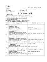 tuần 1  tiếng việt  trần công hòa  thư viện giáo dục tỉnh quảng trị