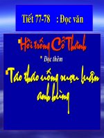 hình cho bé  mầm  vũ trung kiên  thư viện tư liệu giáo dục