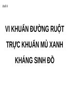 VI KHUẨN ĐƯỜNG RUỘT, TRỰC KHUẨN mủ XANH, KHÁNG SINH đồ (THỰC HÀNH VI SINH) 