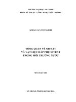 Tổng quan về nitrat và vật liệu hấp phụ nitrat trong môi trường nước 