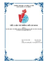 Tiều luận tư tưởng Hồ Chí Minh - Sự vận dụng tư tưởng Hồ Chí Minh về đại đoàn kết của Đảng ta trong giai đoạn hiện nay