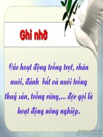 img32  lịch sử 4  đặng thị mai  thư viện tư liệu giáo dục