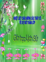 slide bài giảng lịch sử lớp 8 tiết 17 các nước đông nam á cuối thể ký XIX đầu thế kỷ XX 