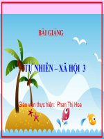 ff493  family and friends 4  nguyễn văn hiền  thư viện tư liệu giáo dục