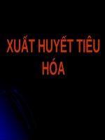 XUẤT HUYẾT TIÊU hóa (TRIỆU CHỨNG học nội KHOA) (chữ biến dạng do slide dùng font VNI times, tải về xem bình thường) 