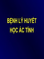 BỆNH lý HUYẾT học ác TÍNH (UNG THƯ) (chữ biến dạng do slide dùng font VNI times, tải về xem bình thường) 