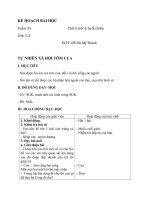 bài 51 tôm cua  tự nhiên và xã hội 3  đỗ mỹ thanh  thư viện giáo án điện tử