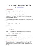 Hóa_Các phương pháp cân bằng hay