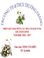 Toan 8 - Rut gon phan thuc