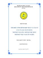 Tìm hiểu tình hình hợp nhất và tái cơ cấu của ba ngân hàng ngân hàng TMCP sài gòn ngân hàng TMCP đề nhất và ngân hàng TMCP việt nam tín nghĩa 