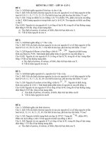 Chiến thắng Bạch Đằng do Ngô Quyền lãnh đạo (năm 938)