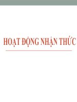 HOẠT ĐỘNG NHẬN THỨC (tâm lý sức KHỎE) 