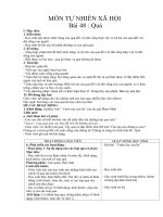 bài 48 quả  tự nhiên và xã hội 3  lê hà phương mai  thư viện giáo án điện tử