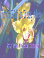 slide bài giảng lịch sử lớp 9 tiết 02 liên xô và các nước đông âu 