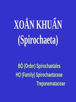 XOẮN KHUẨN (spirochaeta) (VI SINH) (chữ biến dạng do slide dùng font VNI times, tải về xem bình thường) 