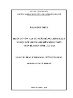 (Luận văn thạc sĩ) Quản lý vốn vay từ Ngân hàng Chính sách Xã hội đối với thanh niên nông thôn trên địa bàn tỉnh Lào Cai