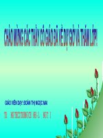 avatar thú yêu  mầm  vũ trung kiên  thư viện tư liệu giáo dục