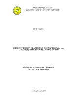 Khảo sát bộ gen của 30 giống đậu nành glycine max l merril bằng dấu chuẩn phân tử SSR đề tài nghiên cứu khoa học cấp trường ngành công nghệ sinh học 