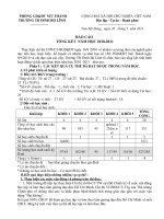 BAO CAO TONG KET NAM HOC 20102011