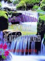 anh dong vat  mầm  lê thị hương giang  thư viện tư liệu giáo dục