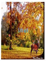 slide bài giảng lịch sử lớp 8 tiết 14 sự phát triển của kinh tế khoa học văn hóa nghệ thuật thế kỷ XVIII đến XIX 