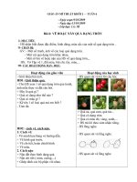 GIAO AN MI THUAT LOP 1 - TUAN 6