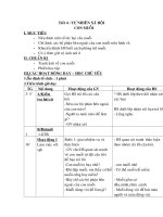 bài 28 con muỗi  tự nhiên và xã hội 1  nguyễn thị lan  thư viện giáo án điện tử