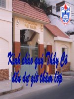 hình nền động  chồi  nguyễn bích thuận  thư viện tư liệu giáo dục