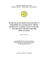 Đánh giá sự đa dạng loài mật độ và sinh khối của tảo bám đáy trong ruộng lúa vụ đông xuân và hè thu năm 2016 2017 ở huyện chợ mới tỉnh an giang 