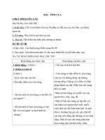 bài 51 tôm cua  tự nhiên và xã hội 3  phạm thị bình  thư viện giáo án điện tử