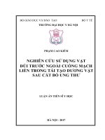 Luận án tiến sĩ nghiên cứu sử dụng vạt đùi trước ngoài cuống mạch liền trong tái tạo dương vật sau cắt bỏ ung thư 