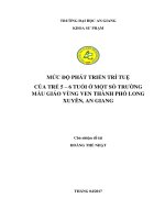 Mức độ phát triển trí tuệ của trẻ 5 6 tuổi ở một số trường mẫu giáo vùng ven thành phố long xuyên an giang 