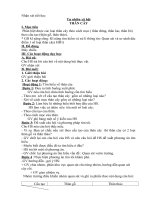 bài 41 thân cây  tự nhiên và xã hội 3  lê thị thanh  thư viện giáo án điện tử