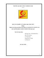 Do an thiet ke he thong co khi máy nghiền phân khô