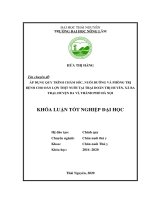 Áp dụng quy trình chăm sóc, nuôi dưỡng và phòng trị bệnh cho đàn lợn thịt tại trại doãn thị huyền, xã ba trại, huyện ba vì, thành phố hà nội 