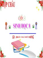 3028 - Địa lí 4 - Đặng Thị Mai - Thư viện Tư liệu giáo dục