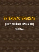 ENTEROBACTERIACEAE (họ VI KHUẨN ĐƯỜNG RUỘT) (PHẦN 2) (VI SINH) (chữ biến dạng do slide dùng font VNI times, tải về xem bình thường) 