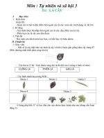 bài 45 lá cây  tự nhiên và xã hội 3  nguyễn thị giang  thư viện giáo án điện tử