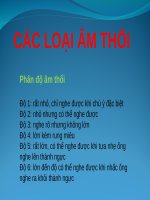 CÁC LOẠI âm THỔI (TRIỆU CHỨNG học nội KHOA) 