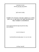 NGHIÊN CỨU SỬ DỤNG TẤM SỢI CARBON GIA CƯỜNG KẾT CẤU CẦU BÊ TÔNG CỐT THÉP THƯỜNG BẰNG THỰC NGHIỆM VÀ MÔ HÌNH SỐ. LUẬN VĂN THẠC SĨ